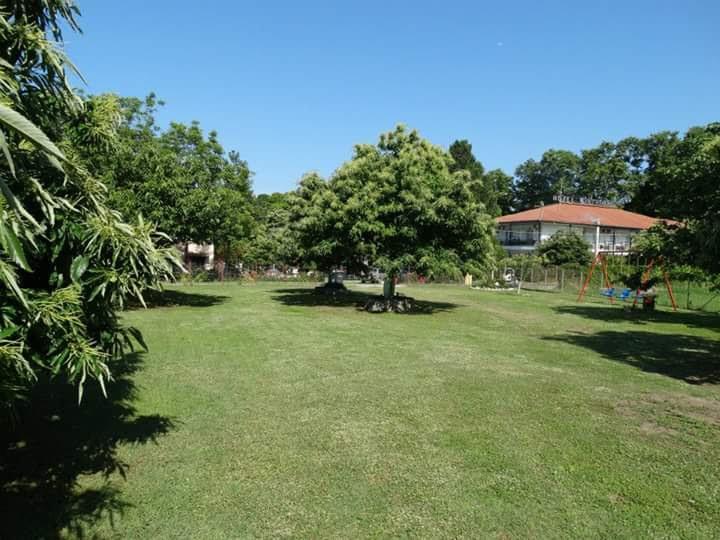 Apartments Stilos Ioannis Paralia Skotinis Exterior photo