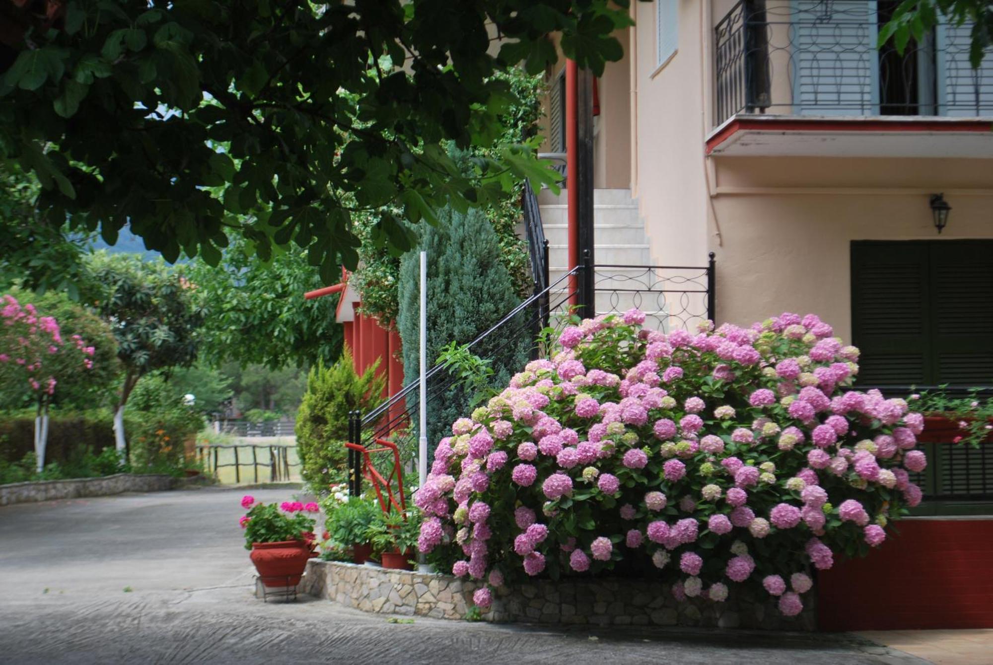 Apartments Stilos Ioannis Paralia Skotinis Exterior photo