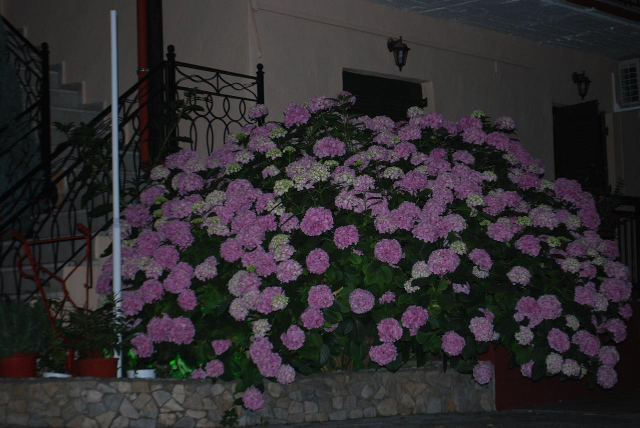 Apartments Stilos Ioannis Paralia Skotinis Exterior photo
